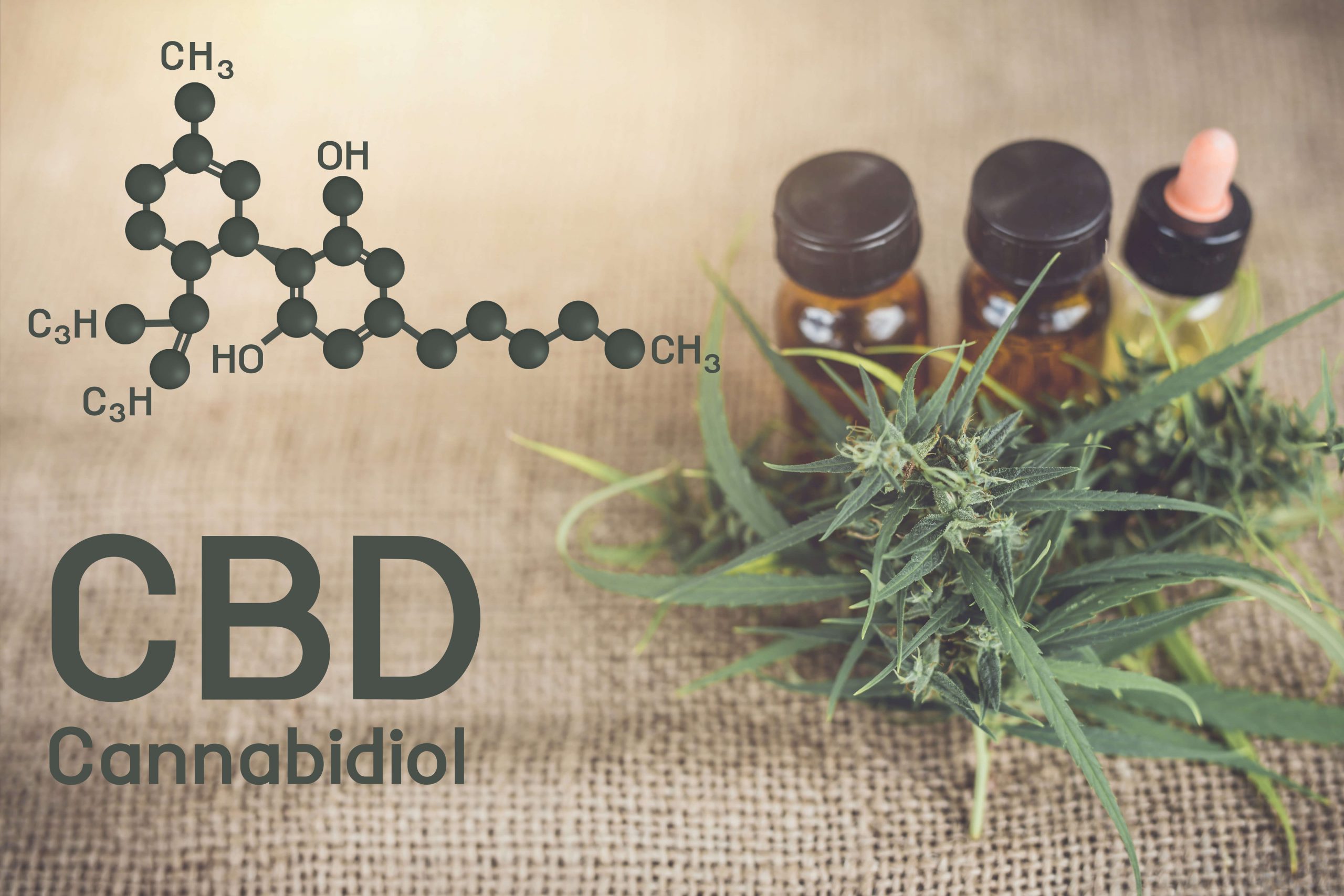 CBD Cannabidiol