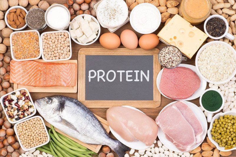 Protein Food