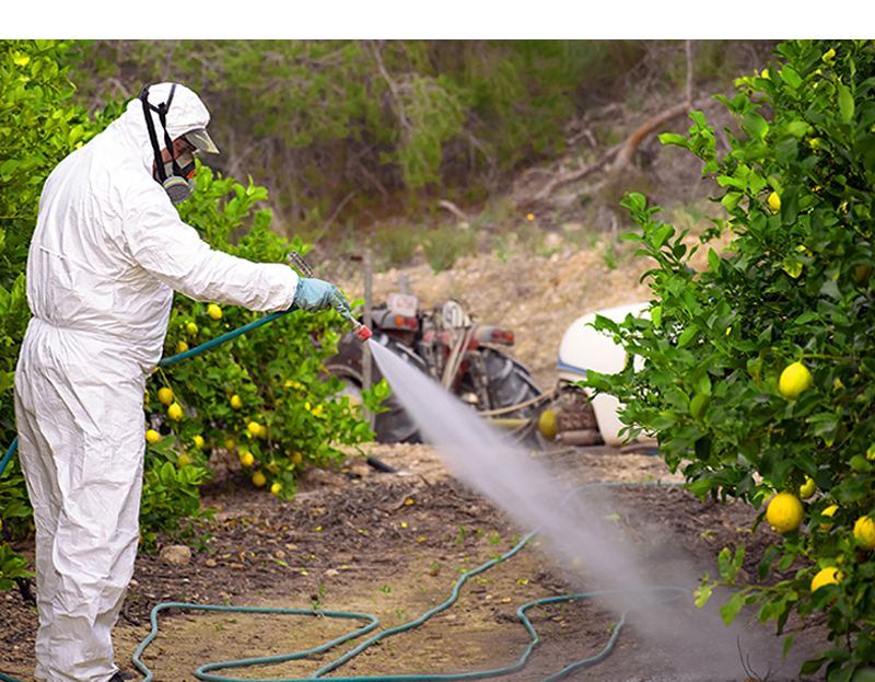 Pesticide Spraying