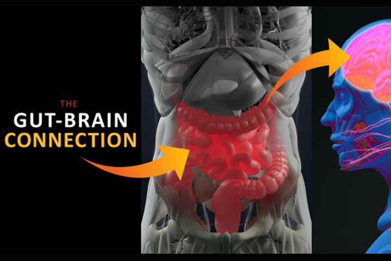 Vitamin B12 Parkinson’s Care and Support UK
